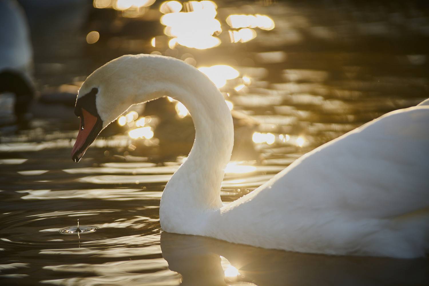 Фотография #7083024