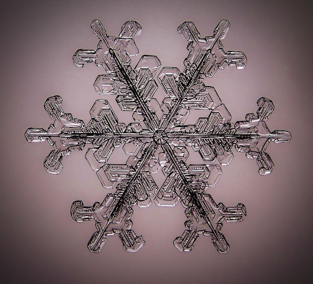 Photograph by андрей захаров