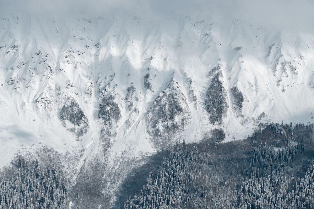 Photograph by Анастасия Лебедева