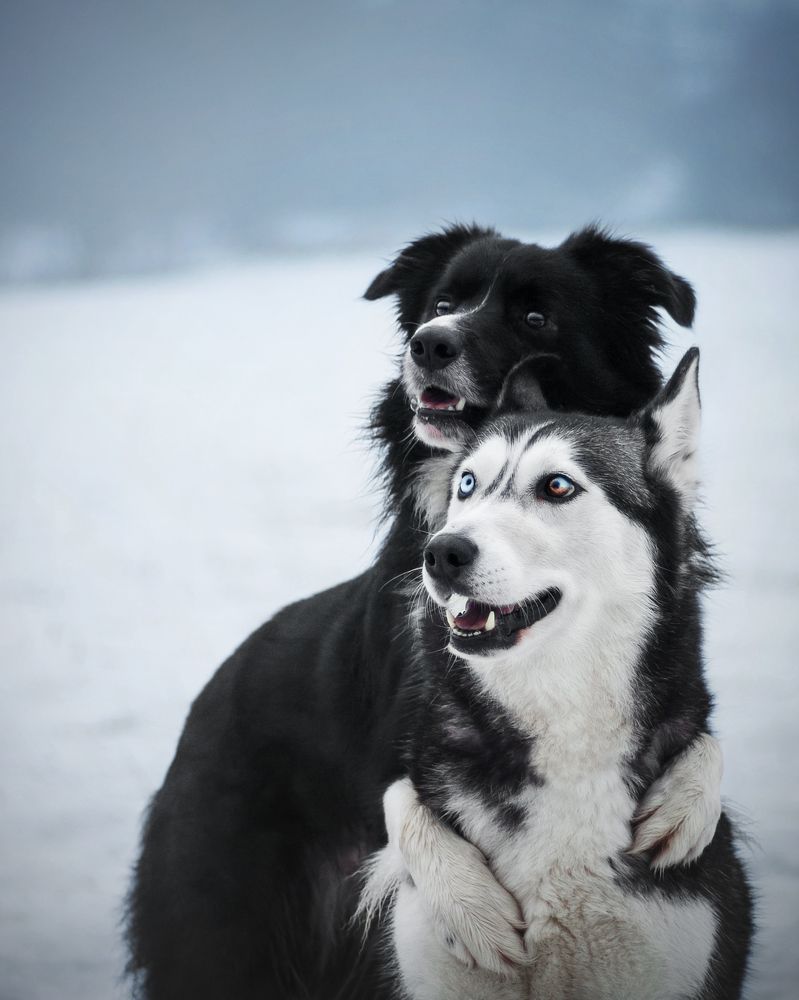 Photograph by Dorota Hnatová