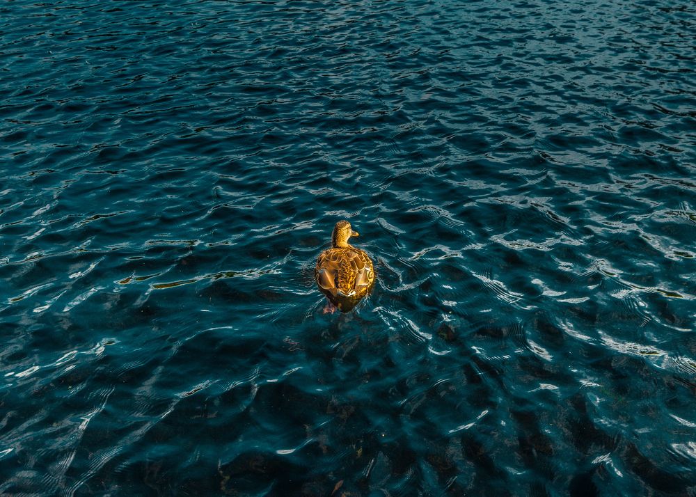 Ничего лишнего