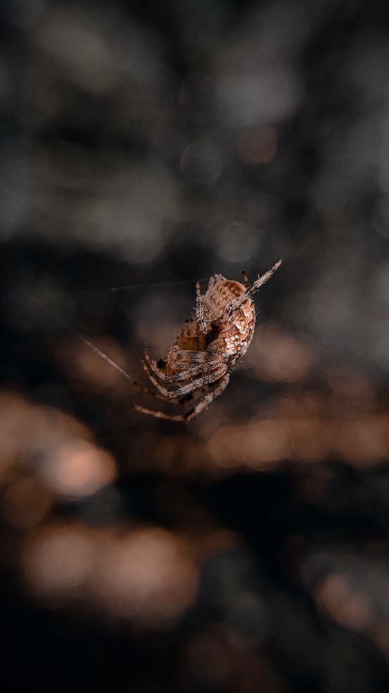 Photograph by Денис Шамров