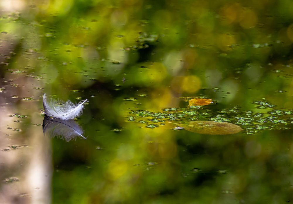 След уходящего лета