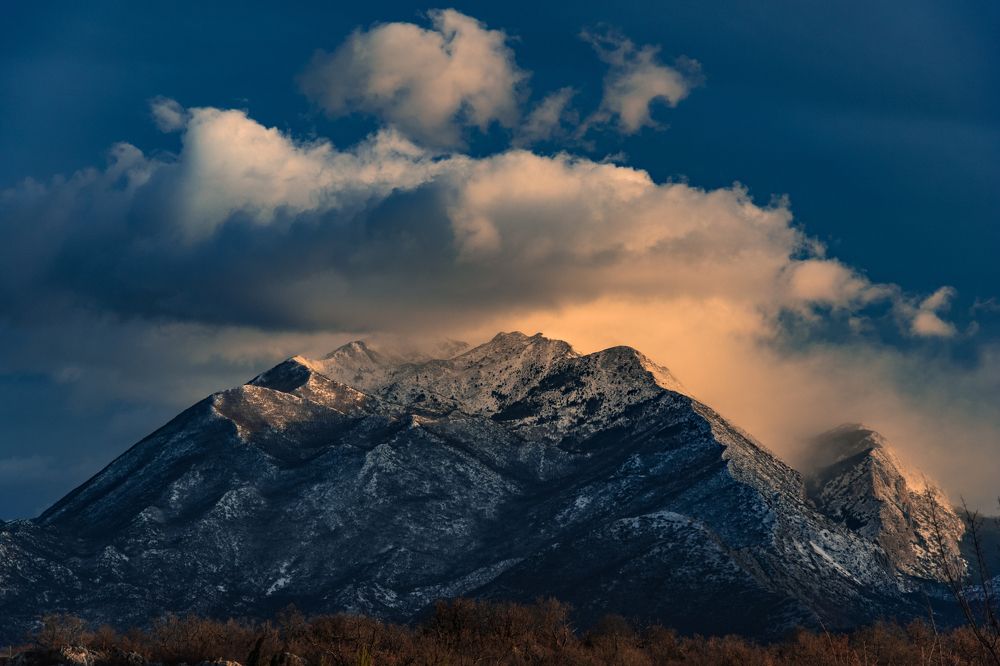 Photograph by Zana Hrkac