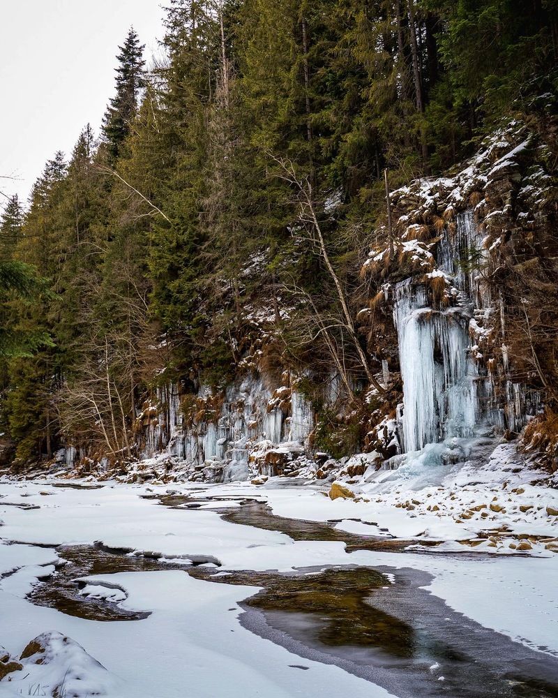 Photograph by Владимир Дихтенко