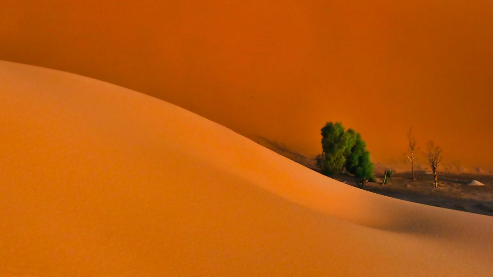 Photograph by Adrian Adi Gli