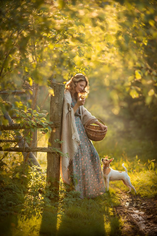 Золотой вечер