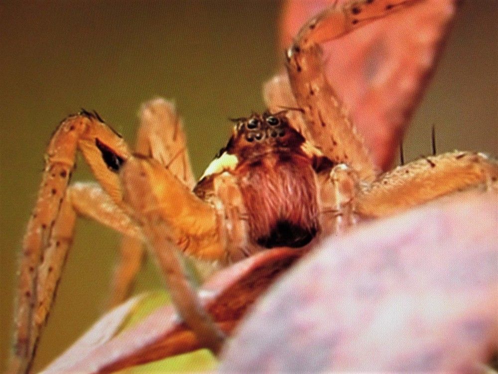 Photograph by Галина