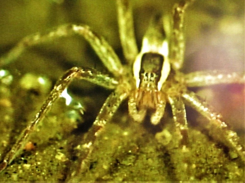 Photograph by Галина