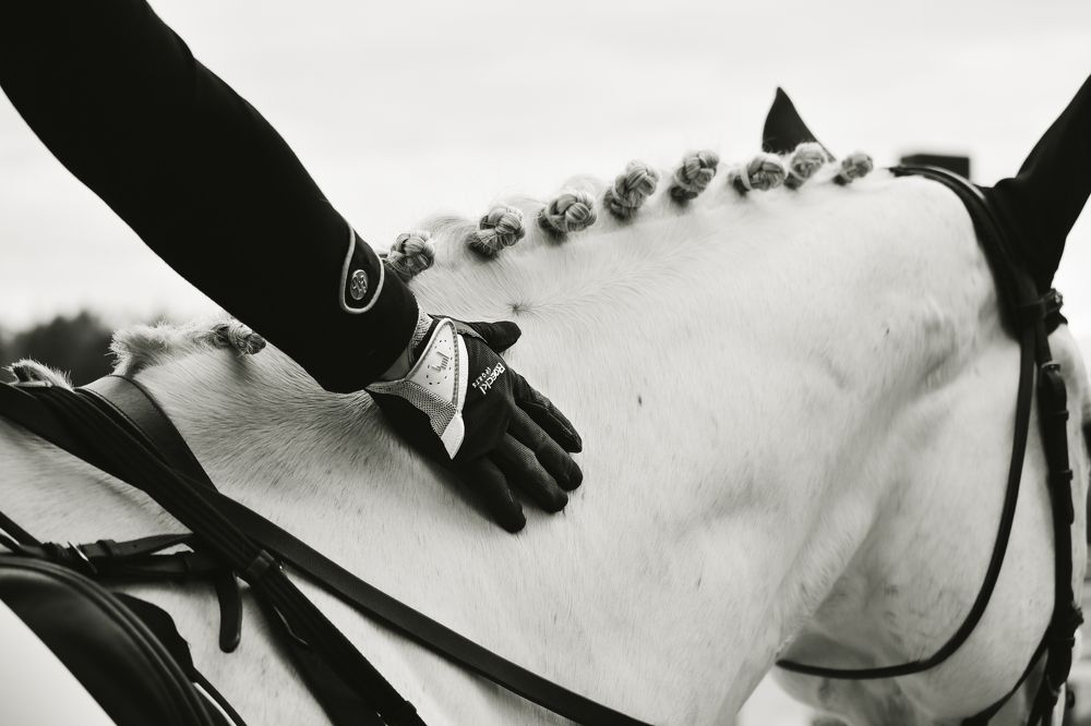 Photograph by Алёна Ибрагимова
