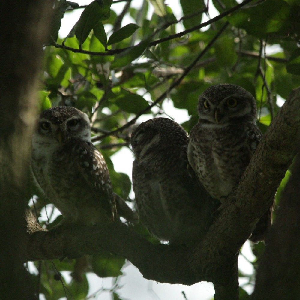 Photograph by Samyuktha Narayanan