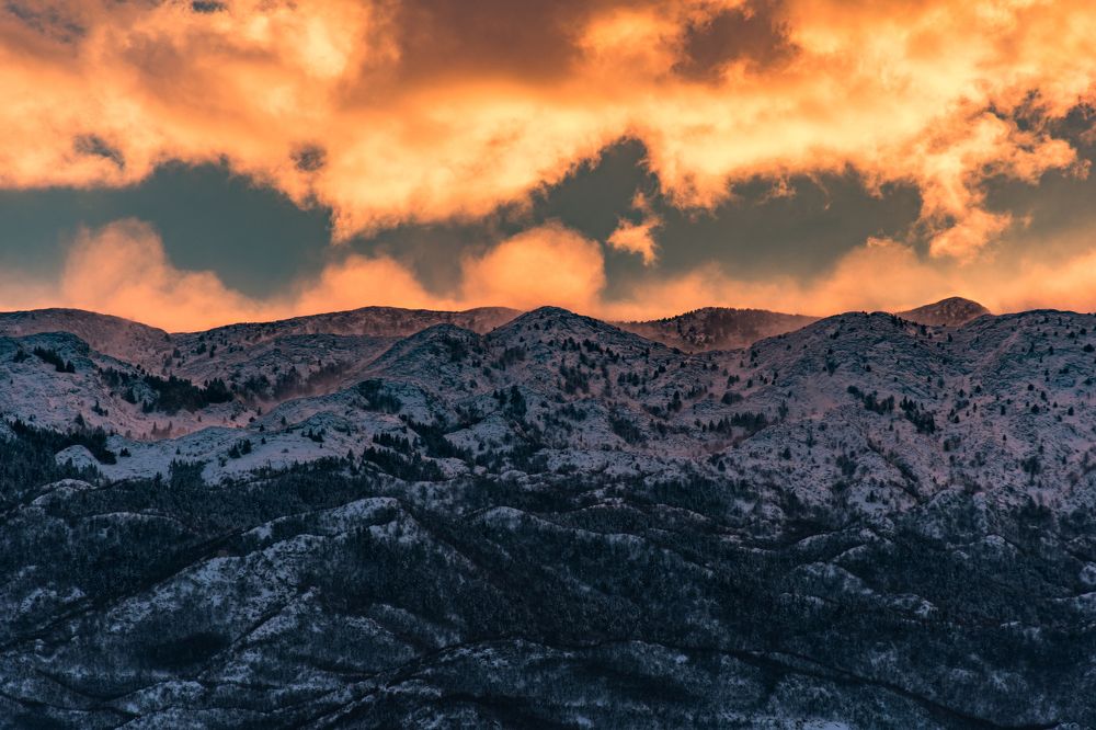 Photograph by Zana Hrkac