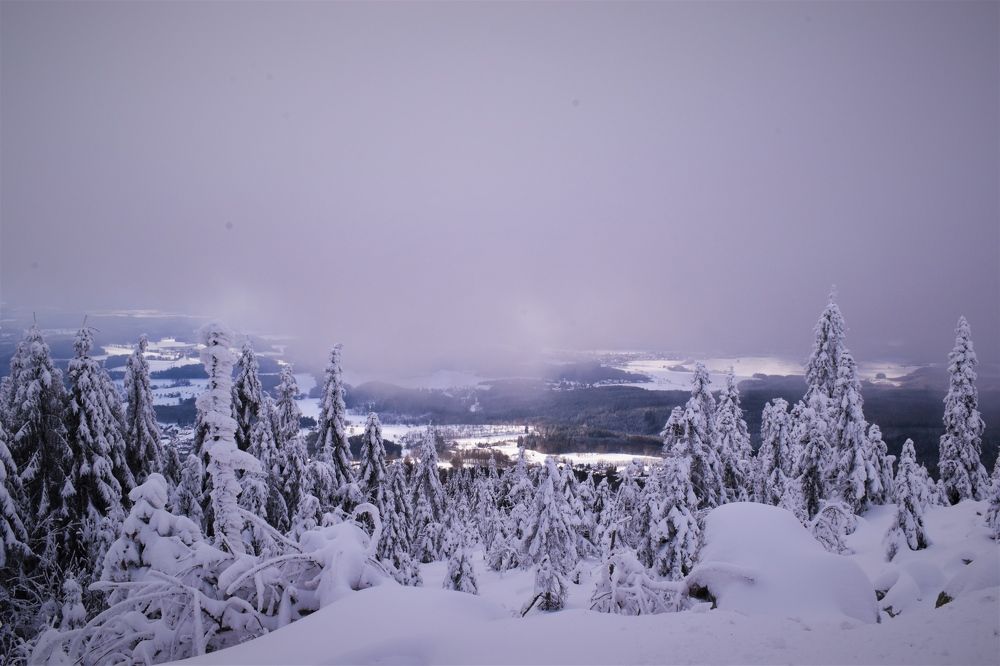 Photograph by Олена Кваша