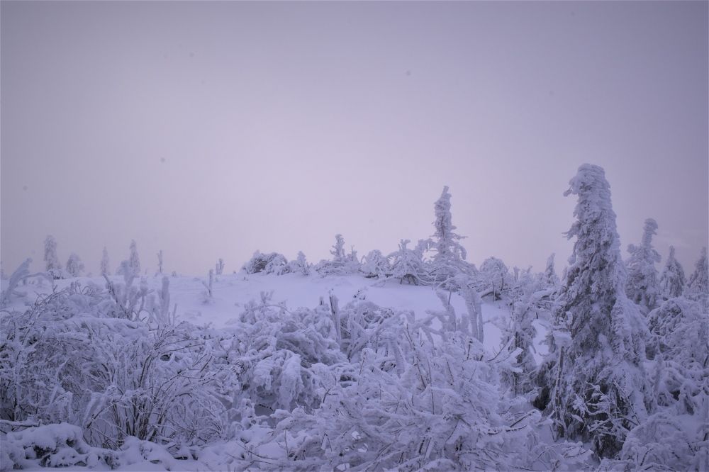 Photograph by Олена Кваша