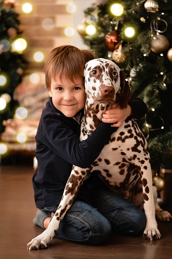 Photograph by Наталия