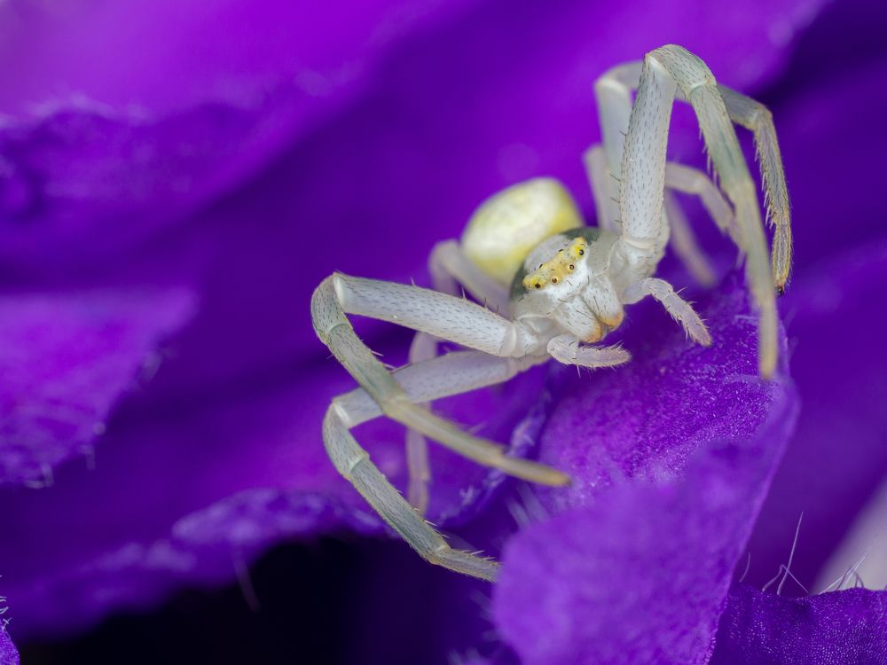 Photograph by Дмитрий Колеватов