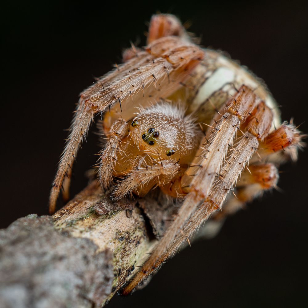 Photograph by Дмитрий Колеватов