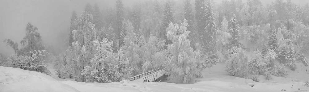 Фотография автора Владимир Пронин