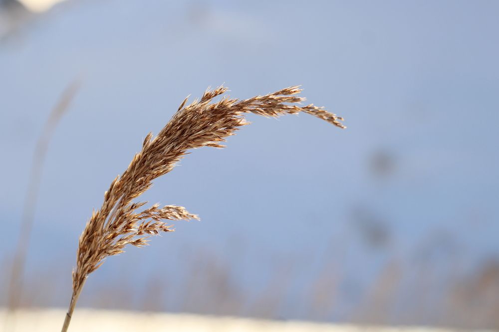Photograph by Лазурченко Анастасия