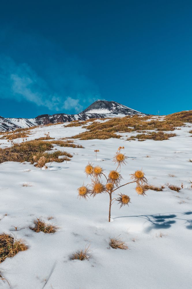 Photograph by Dinesh Umagiliya