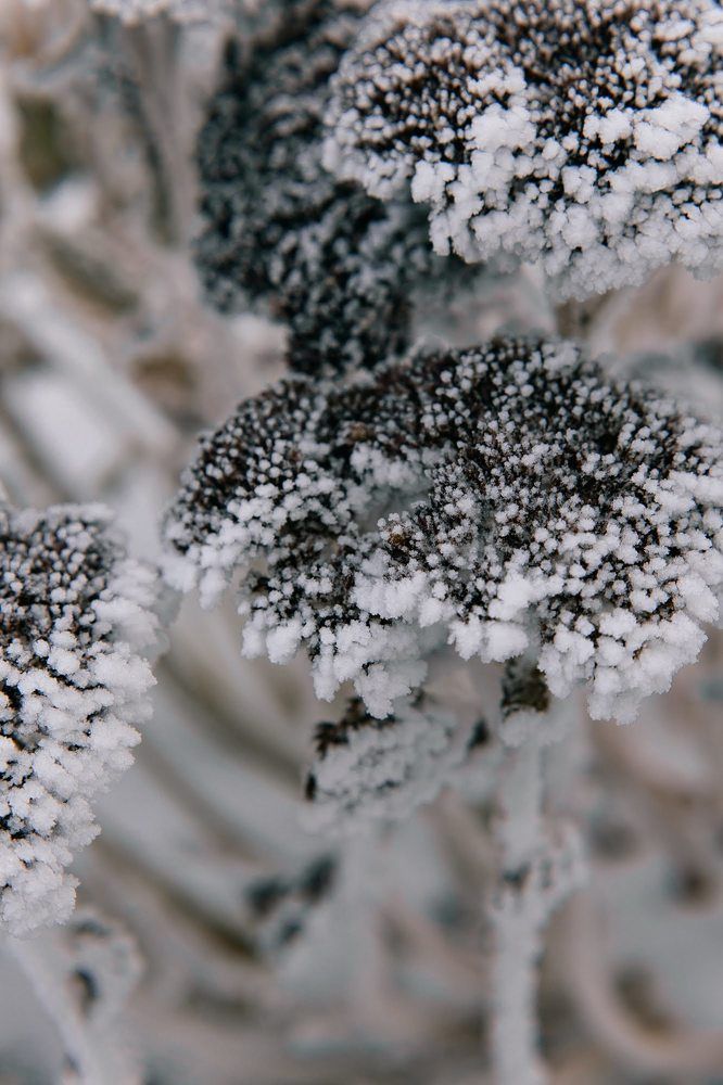 Photograph by Оксана Печкурова