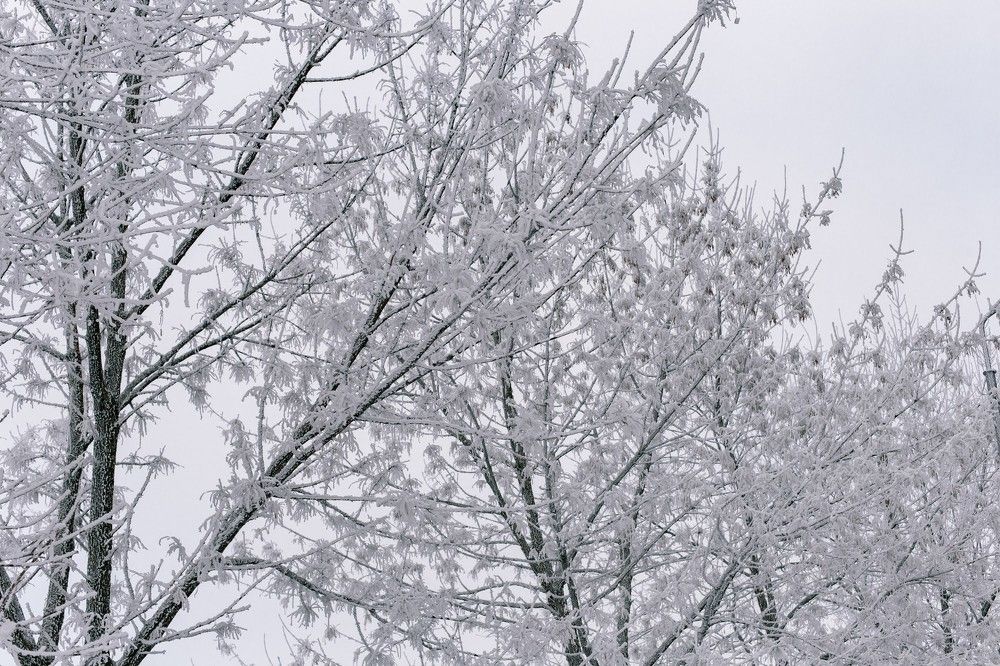 Photograph by Оксана Печкурова