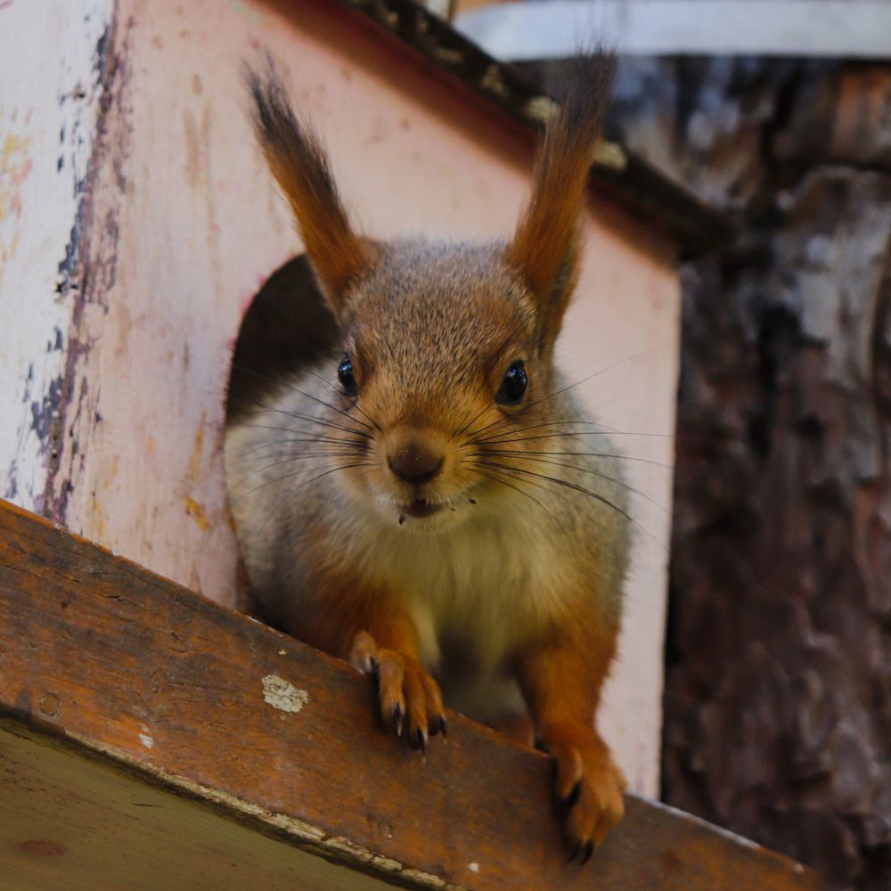 Photograph by Олег Башкуров