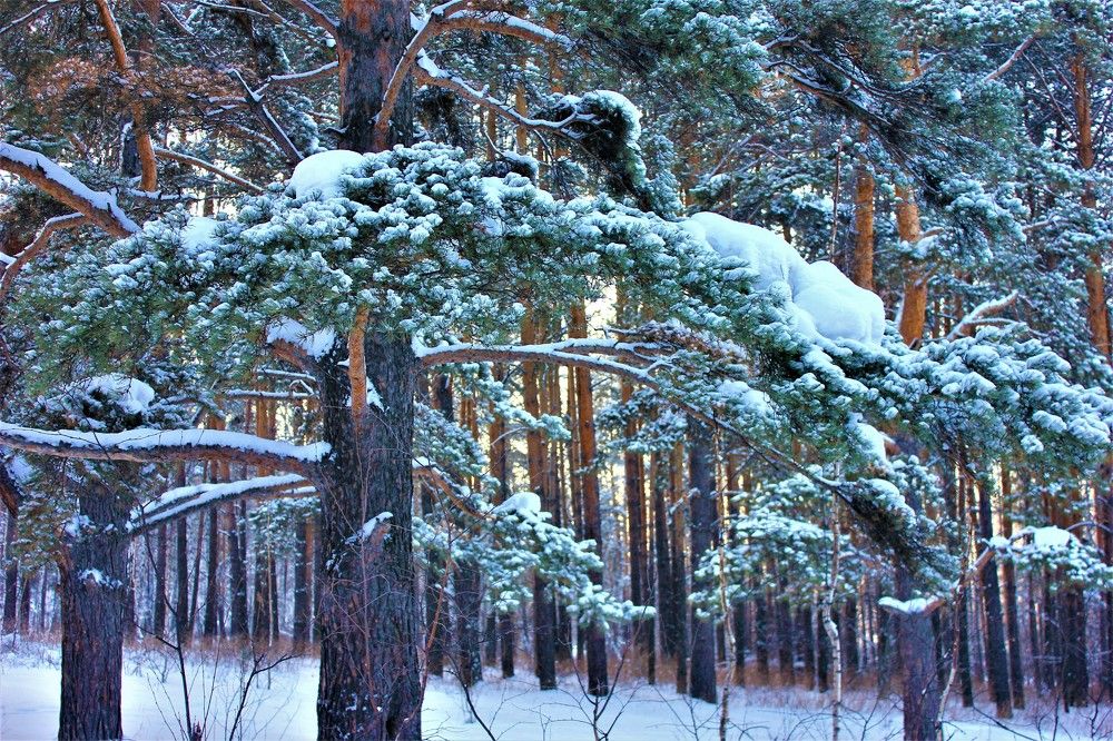 Photograph by Галина