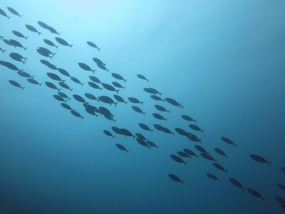 Photograph by Tatiana Serova