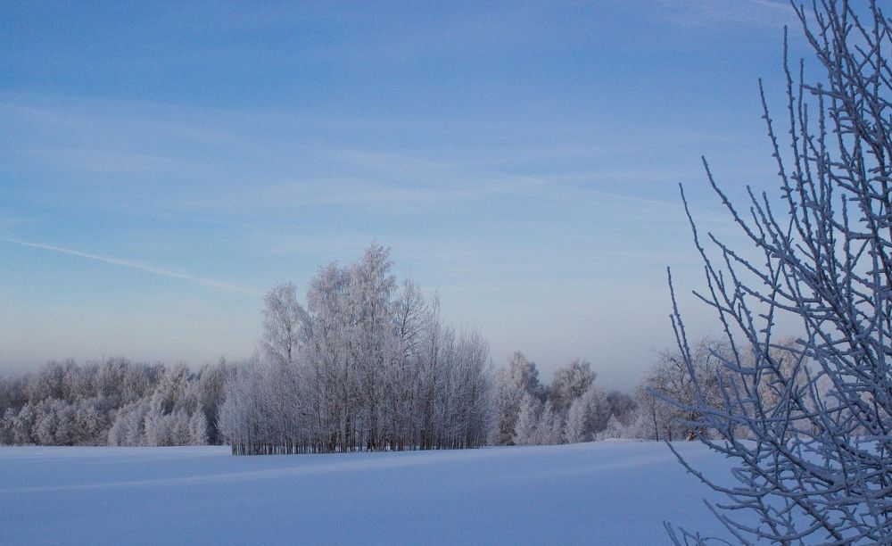 Фотография автора Михаил