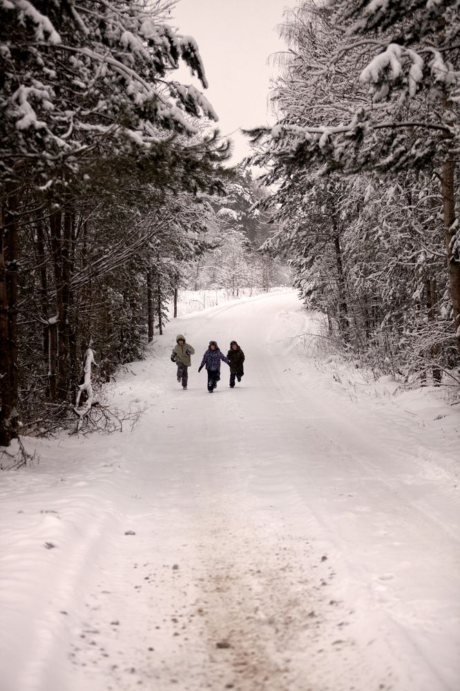 Photograph by Ольга