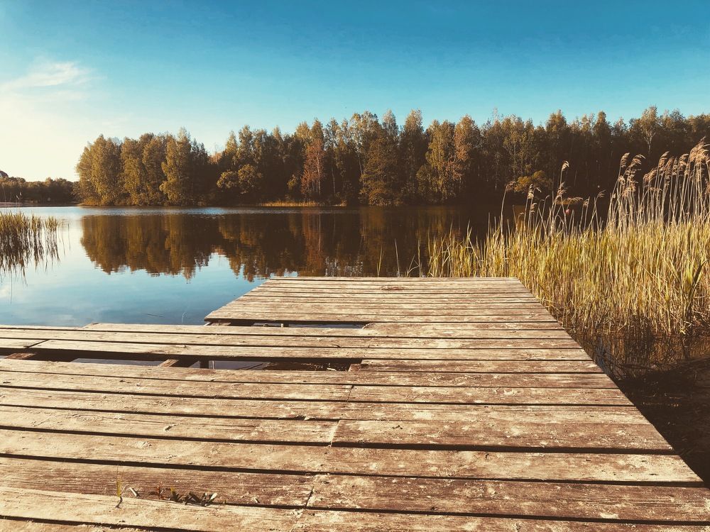 Photograph by Татьяна Тер-Акопова