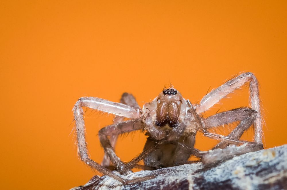 Photograph by Ясинский Юрий