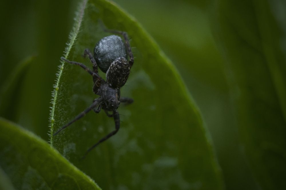 Photograph by Artem Gatin