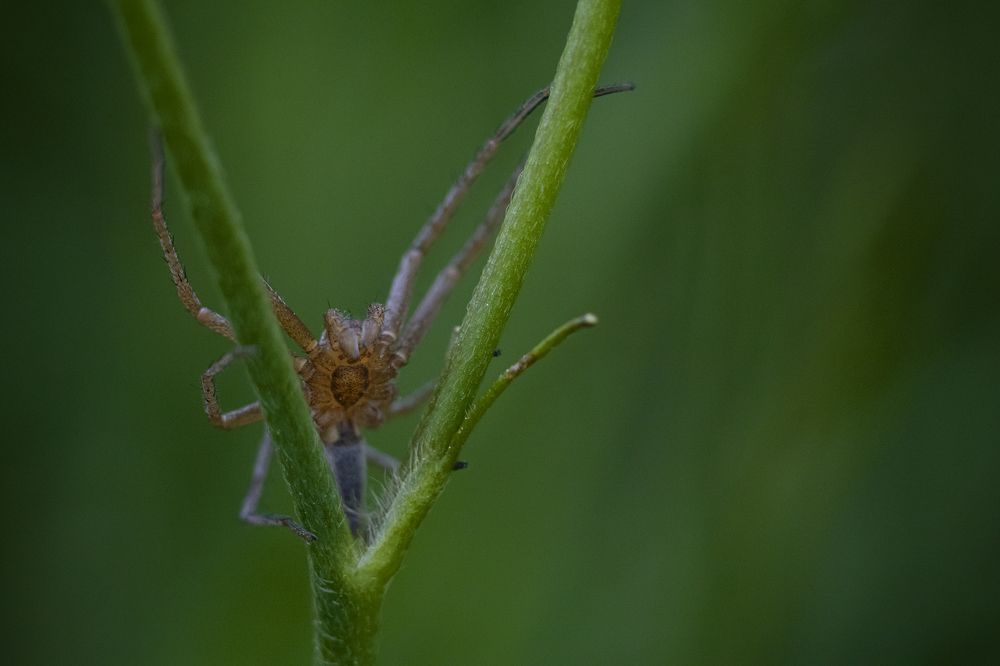 Photograph by Artem Gatin