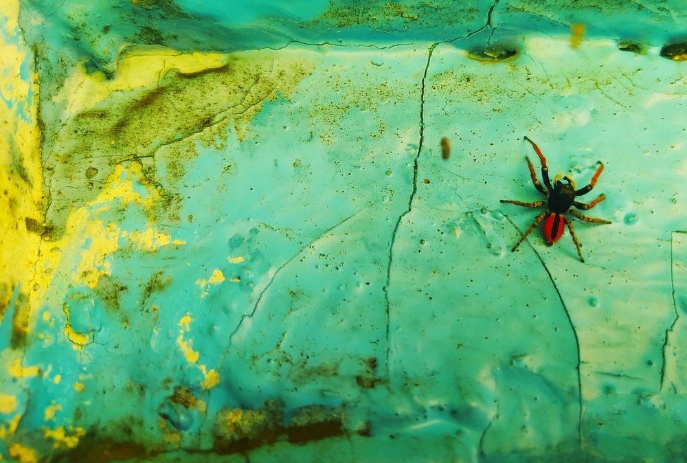 Photograph by Dina Kerimova