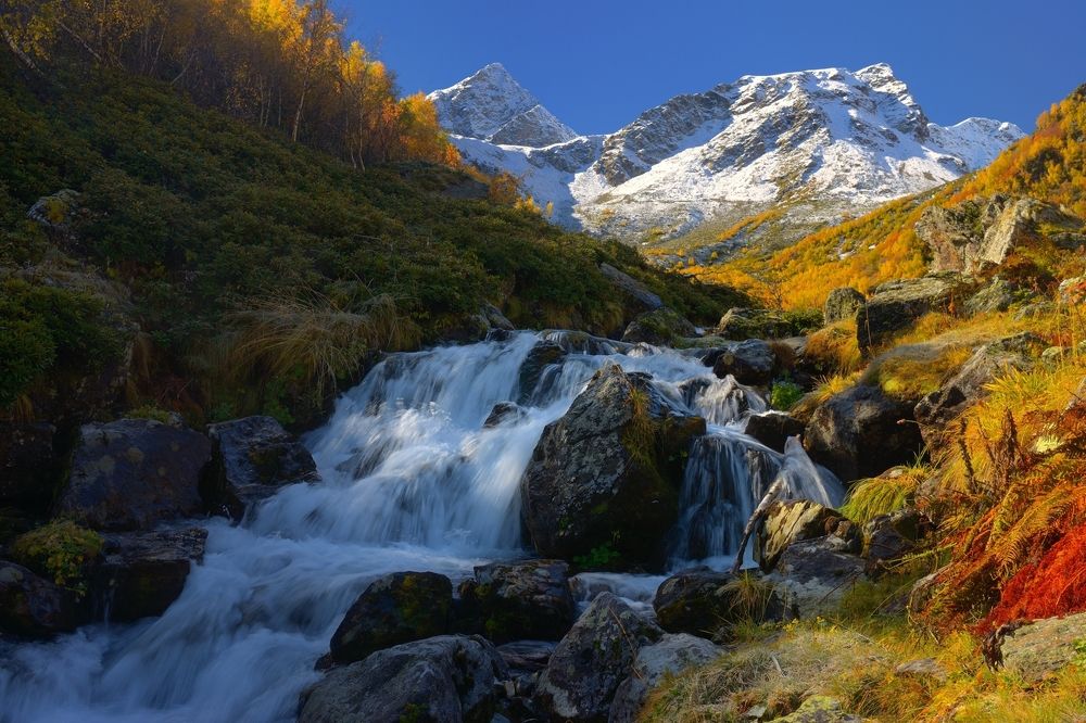 Осеннее утро