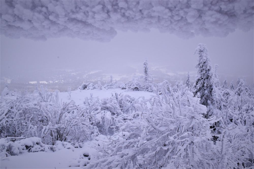 Photograph by Олена Кваша