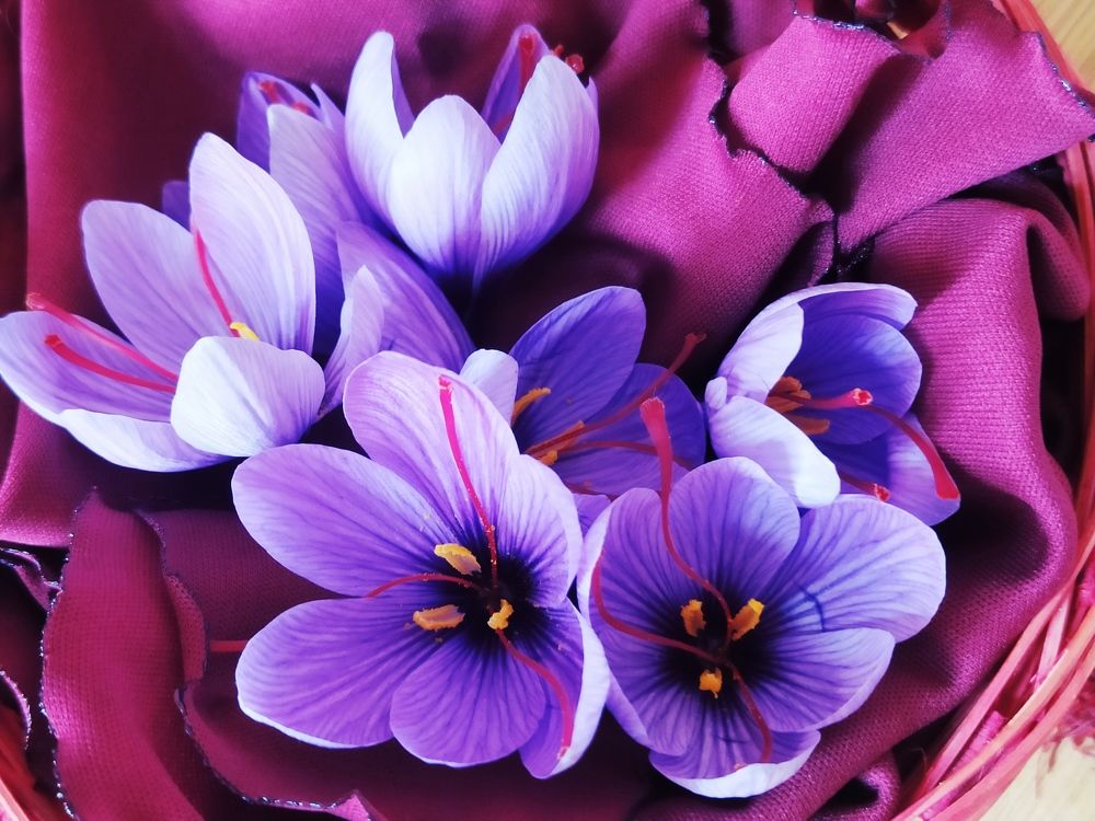 Photograph by Dina Kerimova