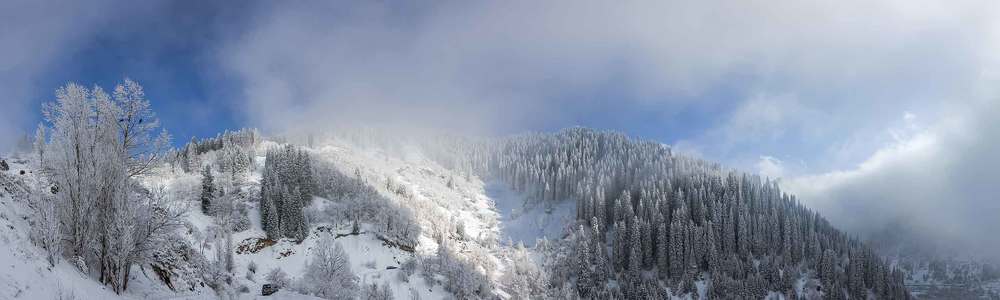 Фотография автора Владимир Пронин