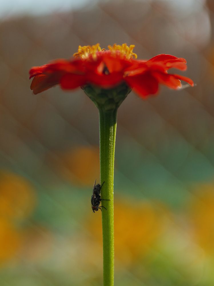 Photograph by Artem Gatin