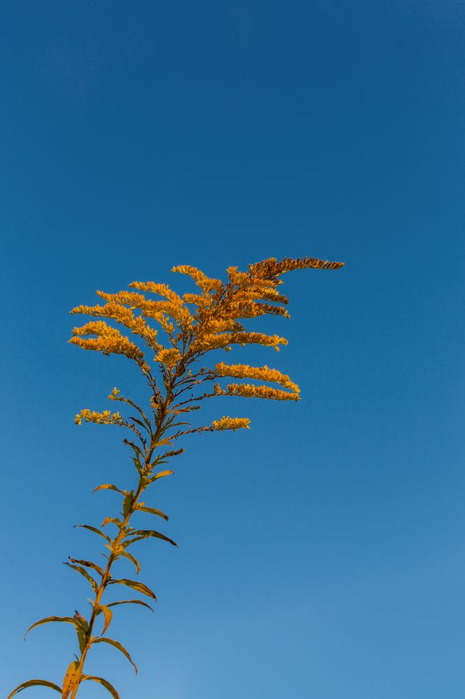 Photograph by Artem Gatin