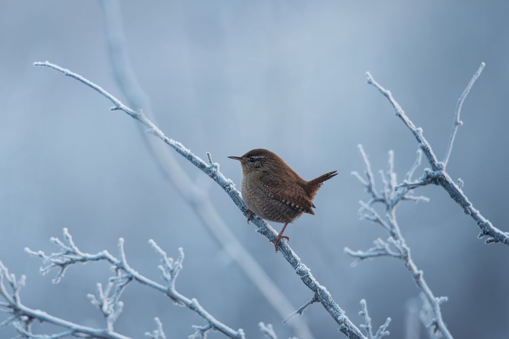 Photograph by Чурсина Виктория