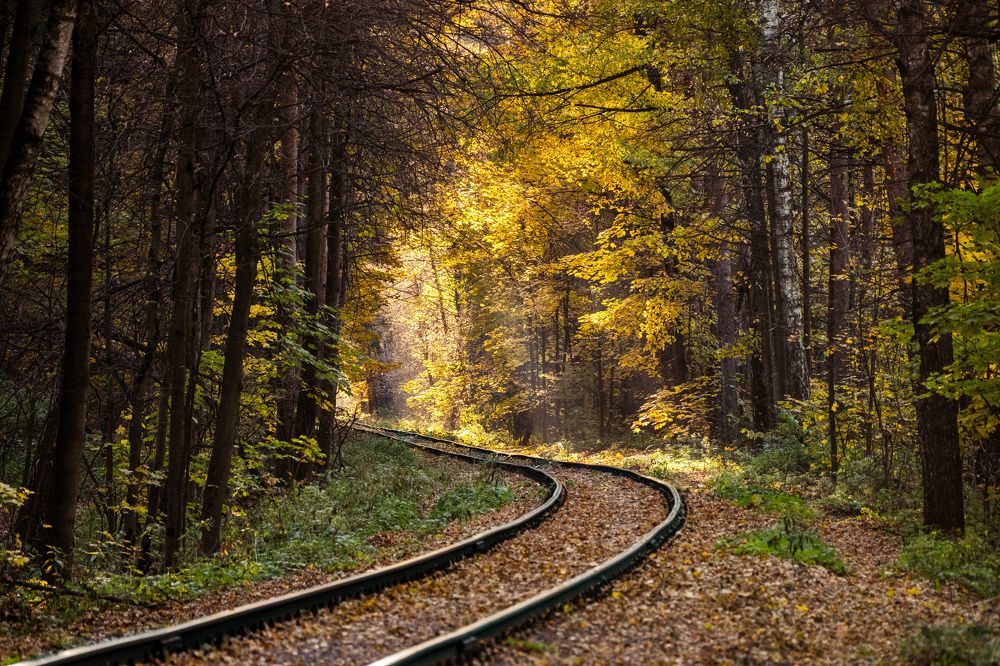 Photograph by Василий Арлашов