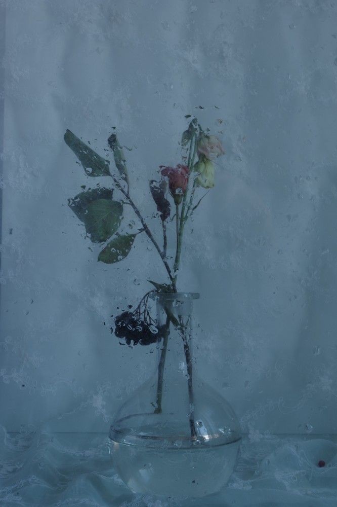 Photograph by ljubov robaltsenko