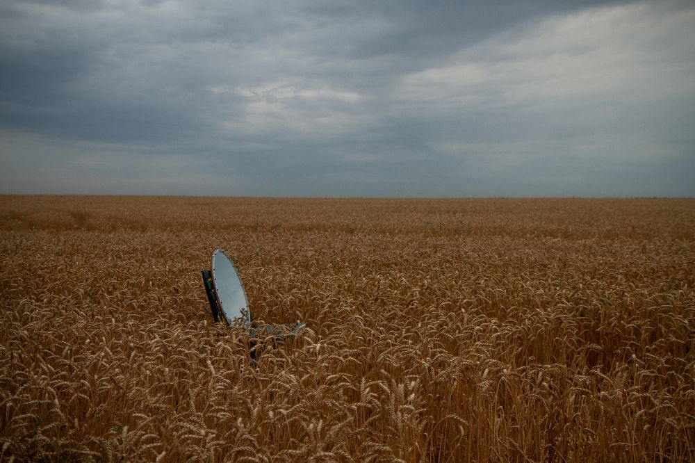 зеркало в поле