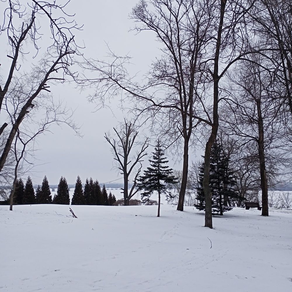 Photograph by Адамян Анна