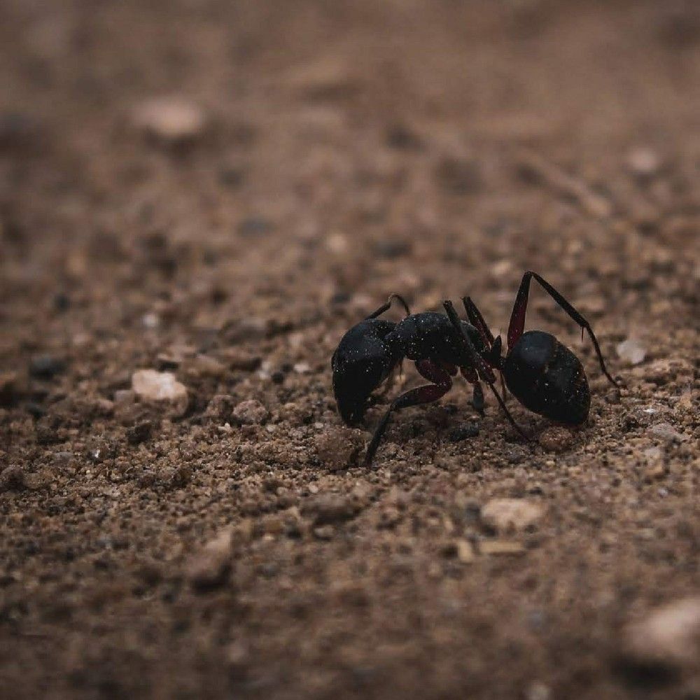 Photograph by Samyuktha Narayanan