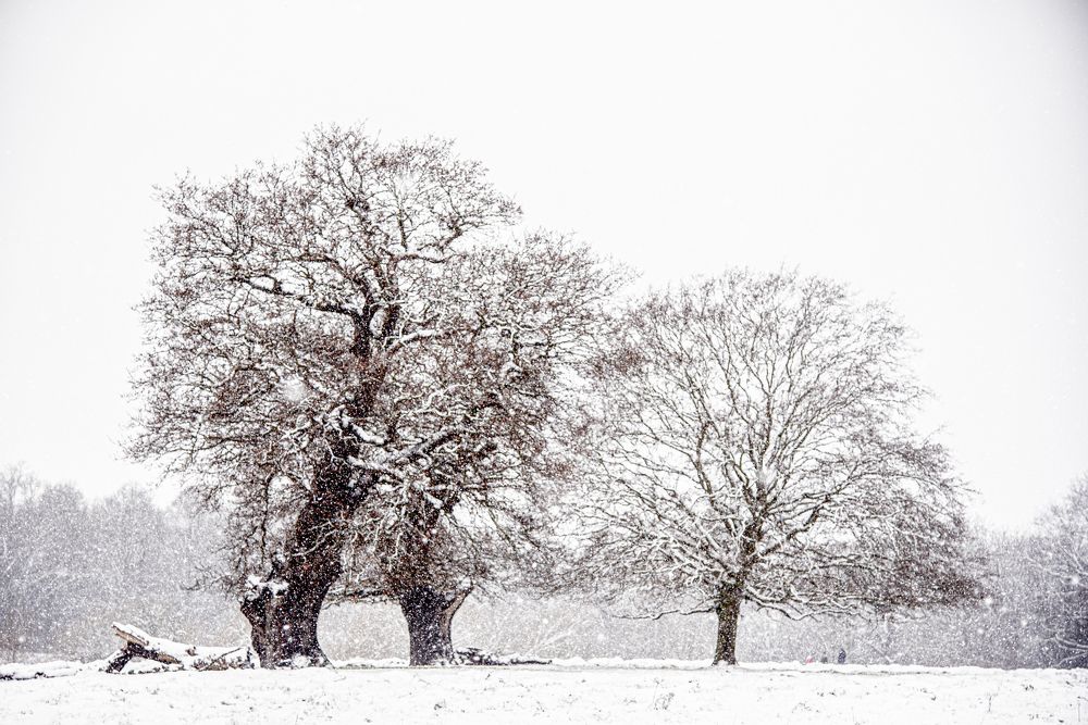 Photograph by Giacomo Giannelli