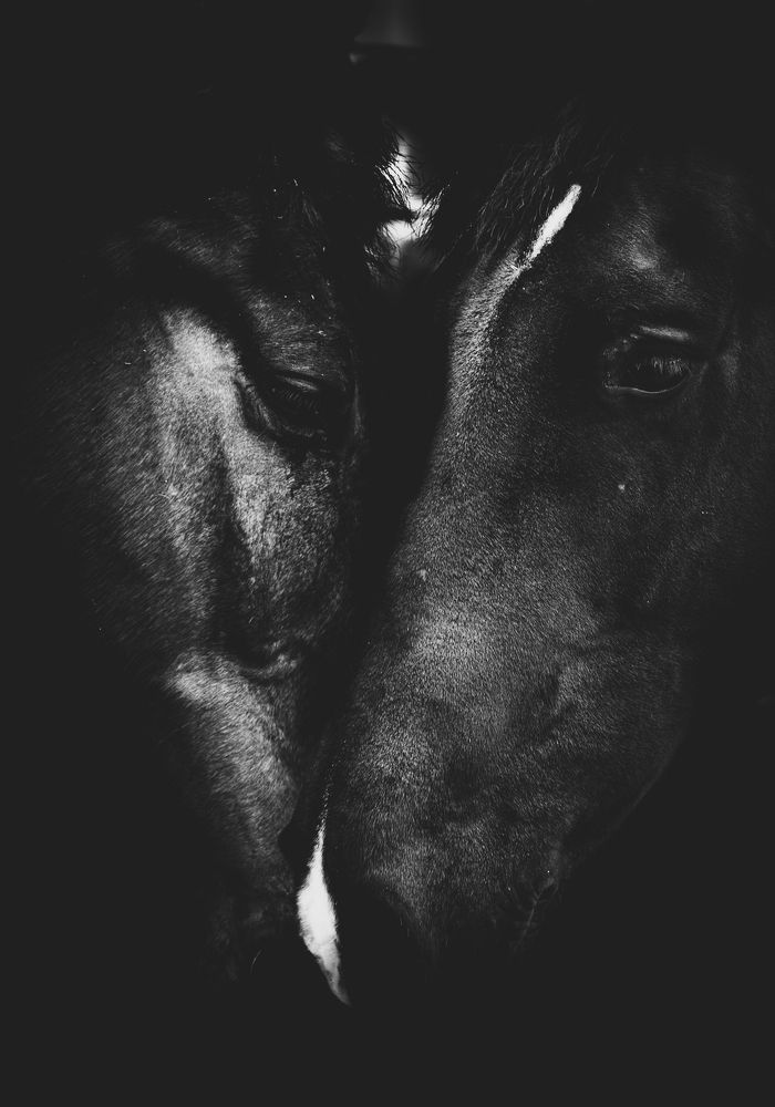 Photograph by Giacomo Giannelli